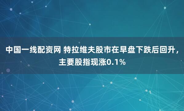 中国一线配资网 特拉维夫股市在早盘下跌后回升，主要股指现涨0.1%